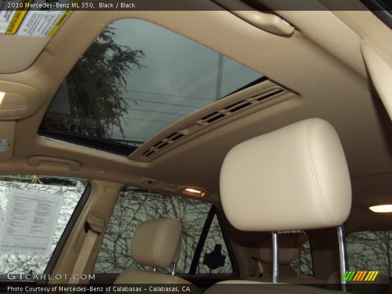Black / Black 2010 Mercedes-Benz ML 350