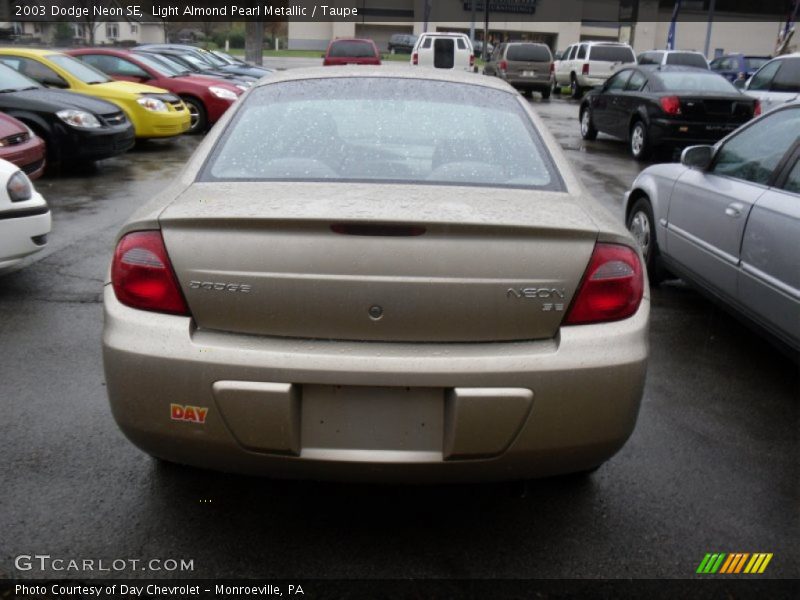 Light Almond Pearl Metallic / Taupe 2003 Dodge Neon SE