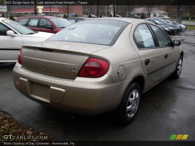 Light Almond Pearl Metallic / Taupe 2003 Dodge Neon SE