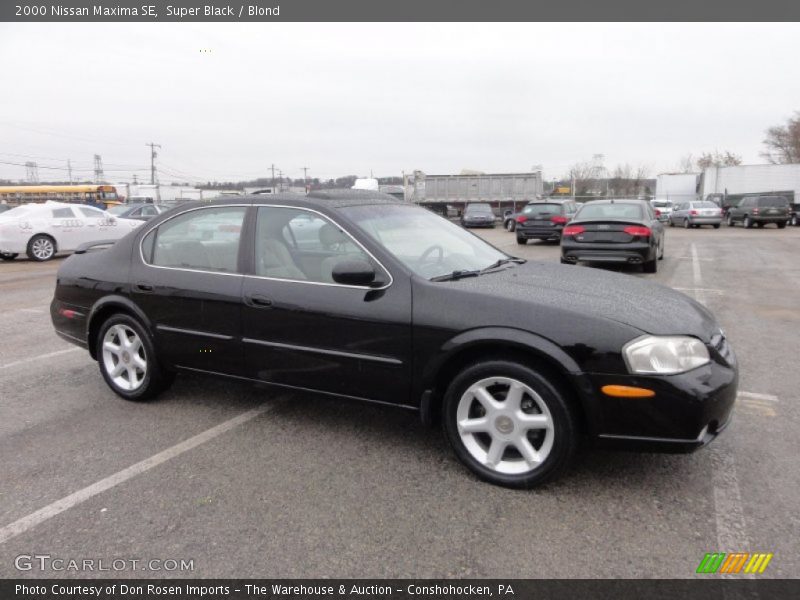Super Black / Blond 2000 Nissan Maxima SE