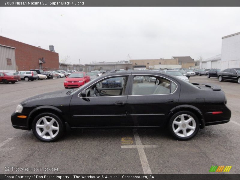 Super Black / Blond 2000 Nissan Maxima SE