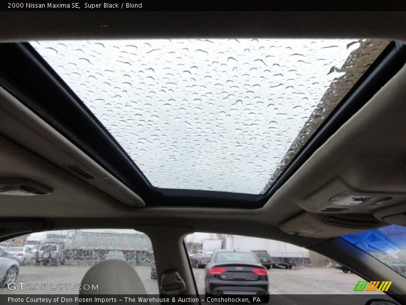 Super Black / Blond 2000 Nissan Maxima SE