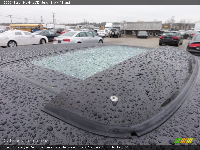 Super Black / Blond 2000 Nissan Maxima SE