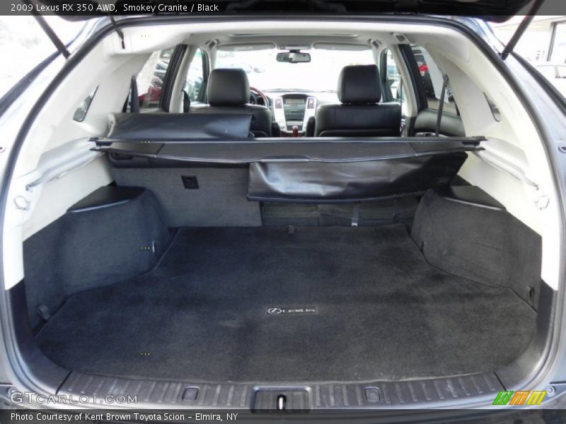 Smokey Granite / Black 2009 Lexus RX 350 AWD