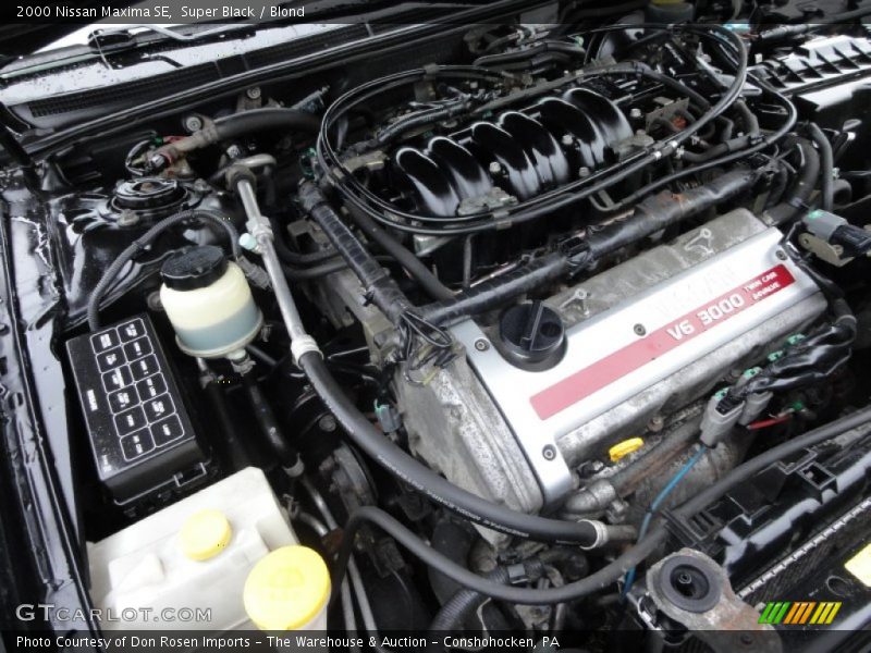 Super Black / Blond 2000 Nissan Maxima SE