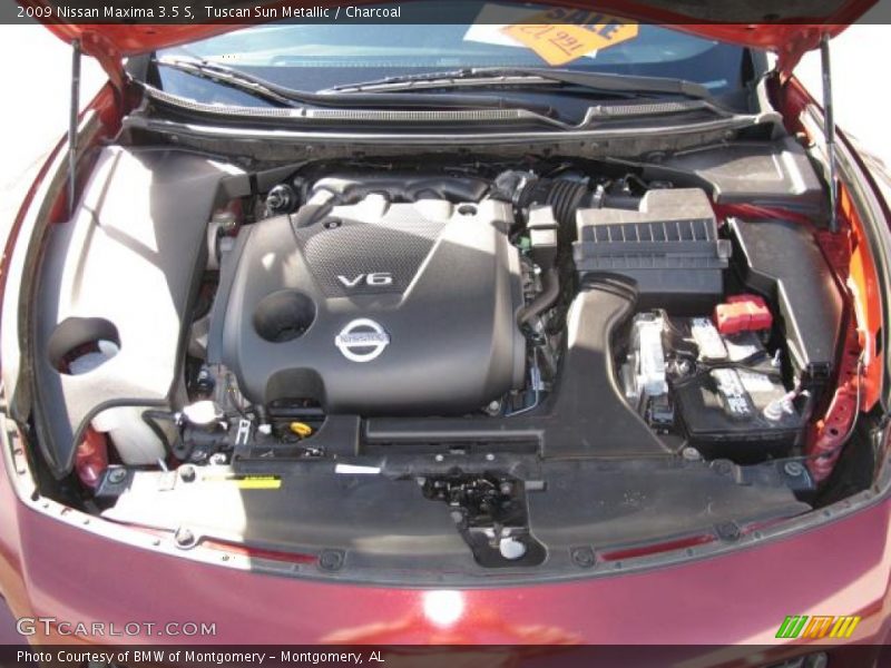 Tuscan Sun Metallic / Charcoal 2009 Nissan Maxima 3.5 S