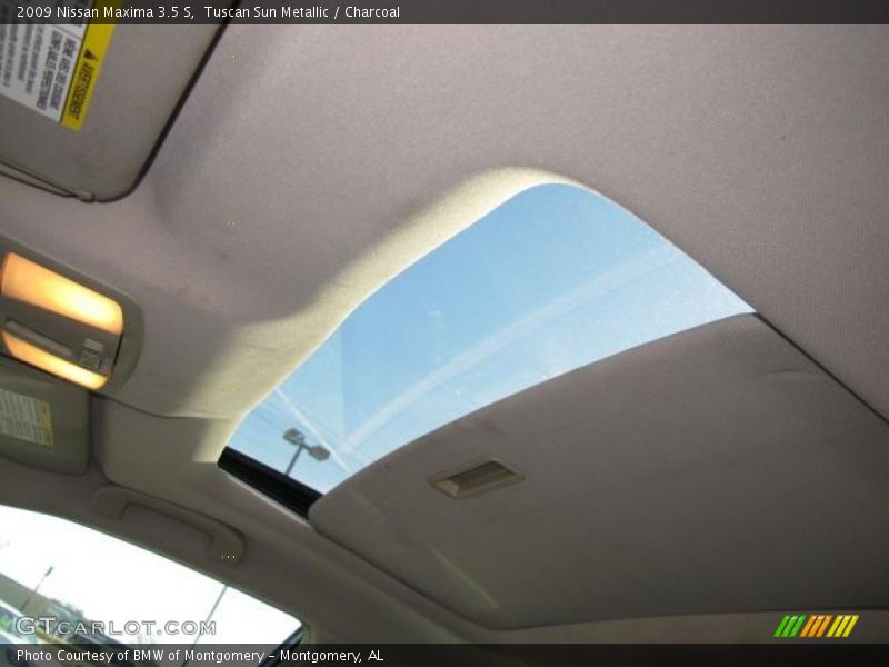 Tuscan Sun Metallic / Charcoal 2009 Nissan Maxima 3.5 S