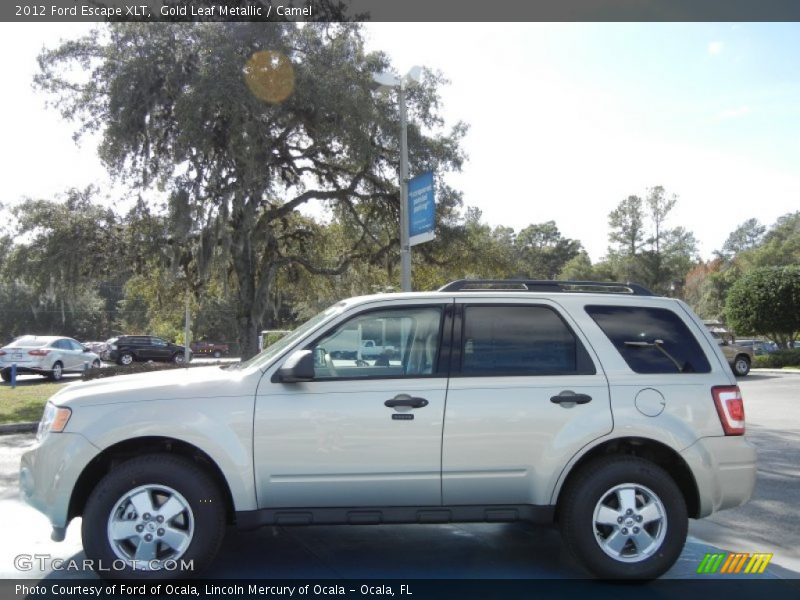 Gold Leaf Metallic / Camel 2012 Ford Escape XLT