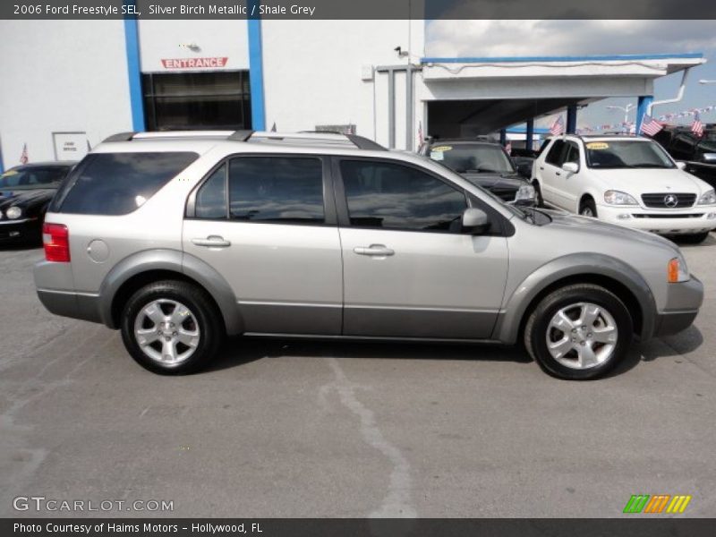  2006 Freestyle SEL Silver Birch Metallic