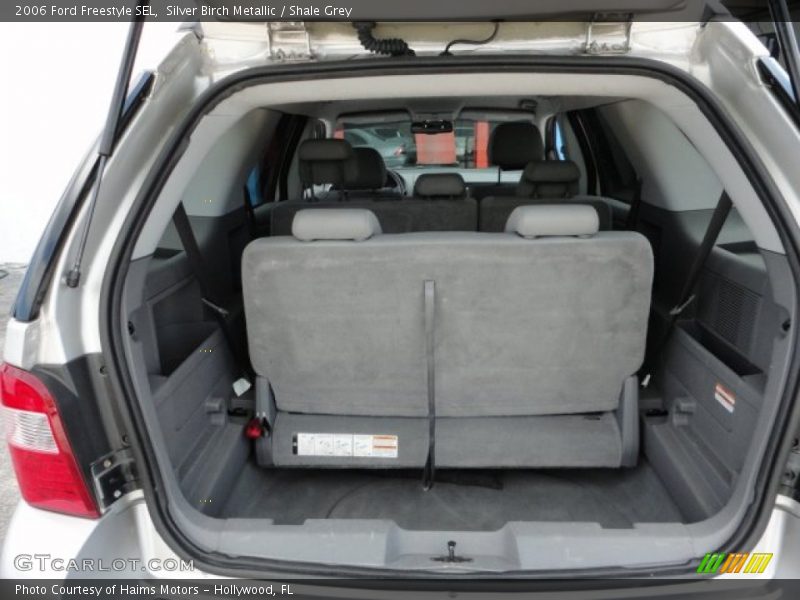 Silver Birch Metallic / Shale Grey 2006 Ford Freestyle SEL