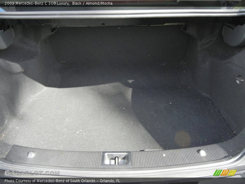Black / Almond/Mocha 2009 Mercedes-Benz C 300 Luxury