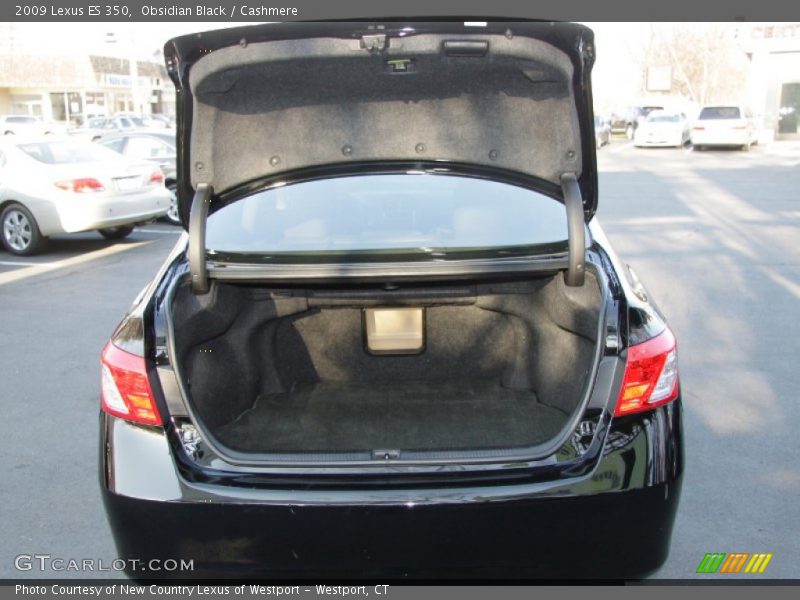 Obsidian Black / Cashmere 2009 Lexus ES 350