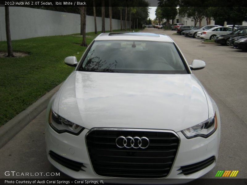 Ibis White / Black 2012 Audi A6 2.0T Sedan