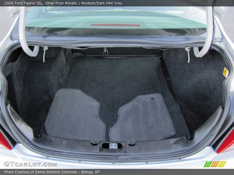 Silver Frost Metallic / Medium/Dark Flint Grey 2006 Ford Taurus SEL