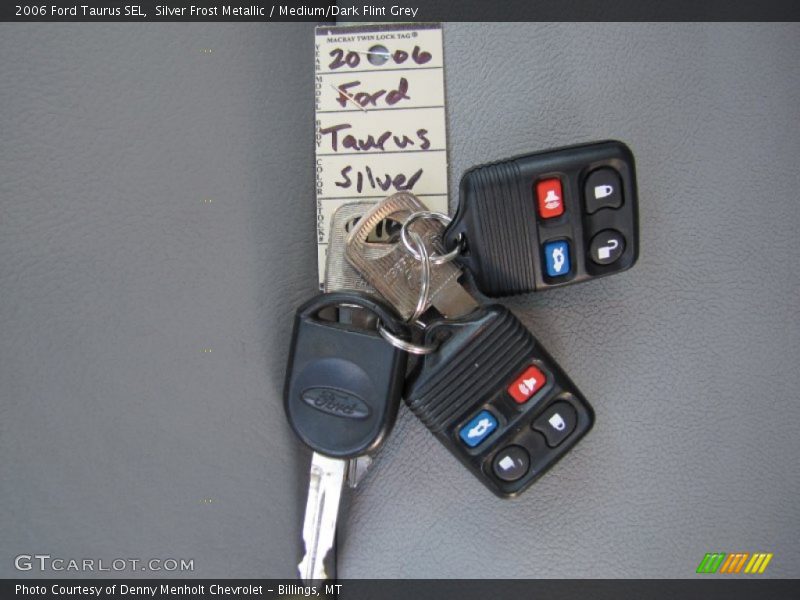 Silver Frost Metallic / Medium/Dark Flint Grey 2006 Ford Taurus SEL