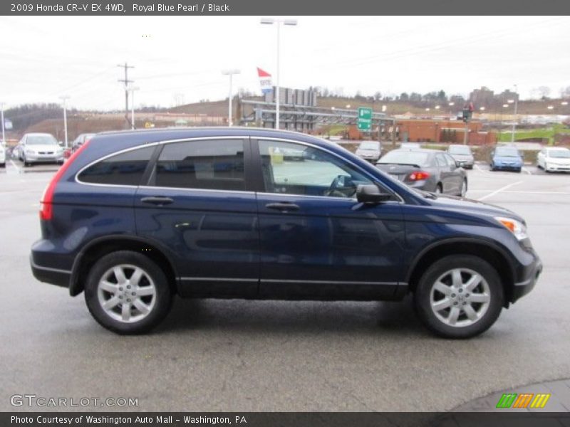 Royal Blue Pearl / Black 2009 Honda CR-V EX 4WD