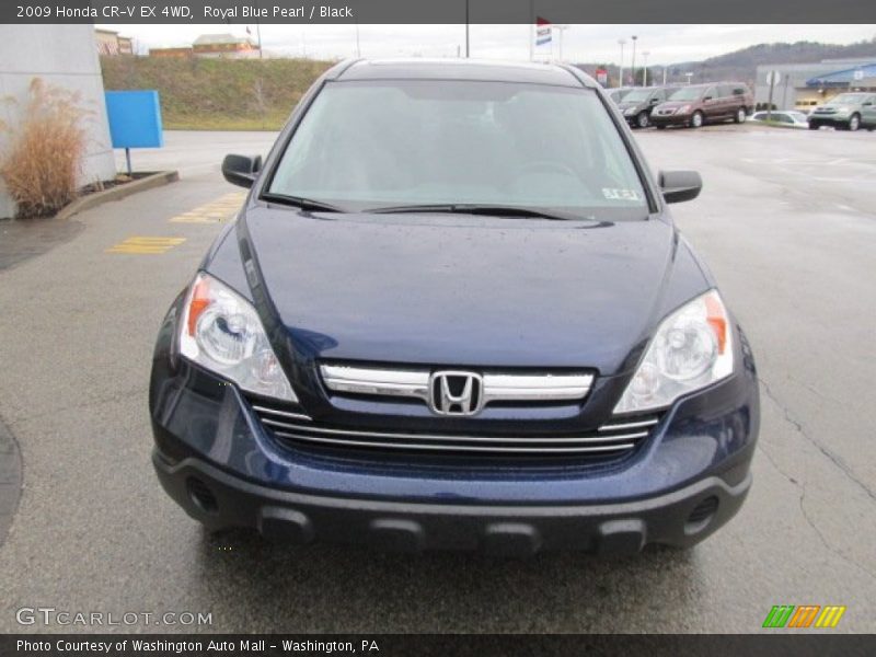 Royal Blue Pearl / Black 2009 Honda CR-V EX 4WD