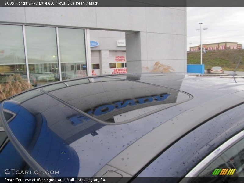 Royal Blue Pearl / Black 2009 Honda CR-V EX 4WD