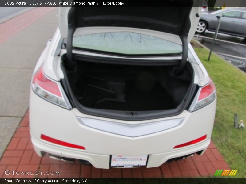 White Diamond Pearl / Taupe/Ebony 2009 Acura TL 3.7 SH-AWD