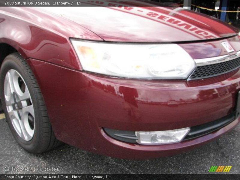 Cranberry / Tan 2003 Saturn ION 3 Sedan