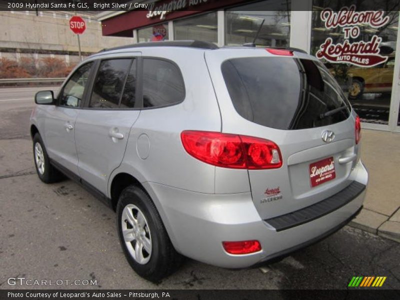 Bright Silver / Gray 2009 Hyundai Santa Fe GLS