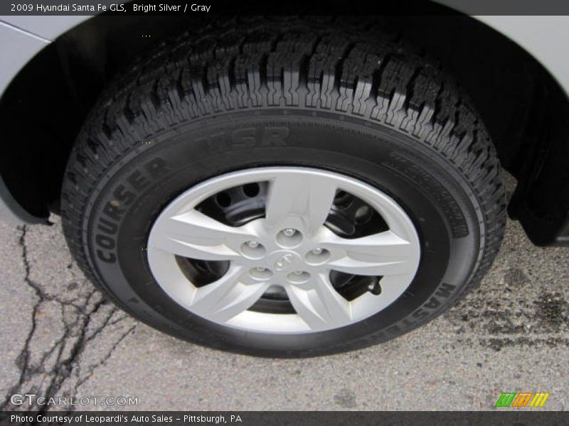 Bright Silver / Gray 2009 Hyundai Santa Fe GLS