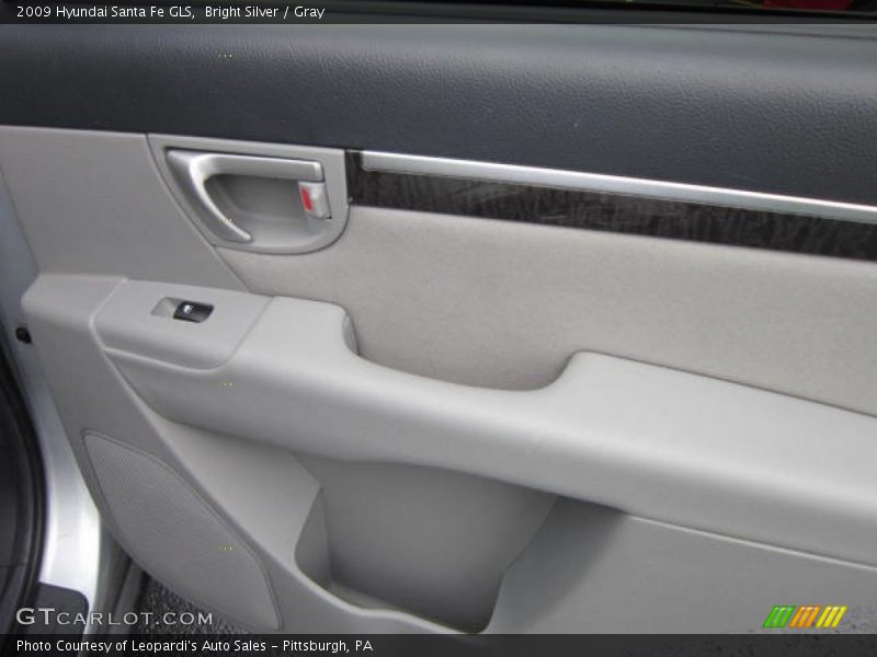 Bright Silver / Gray 2009 Hyundai Santa Fe GLS