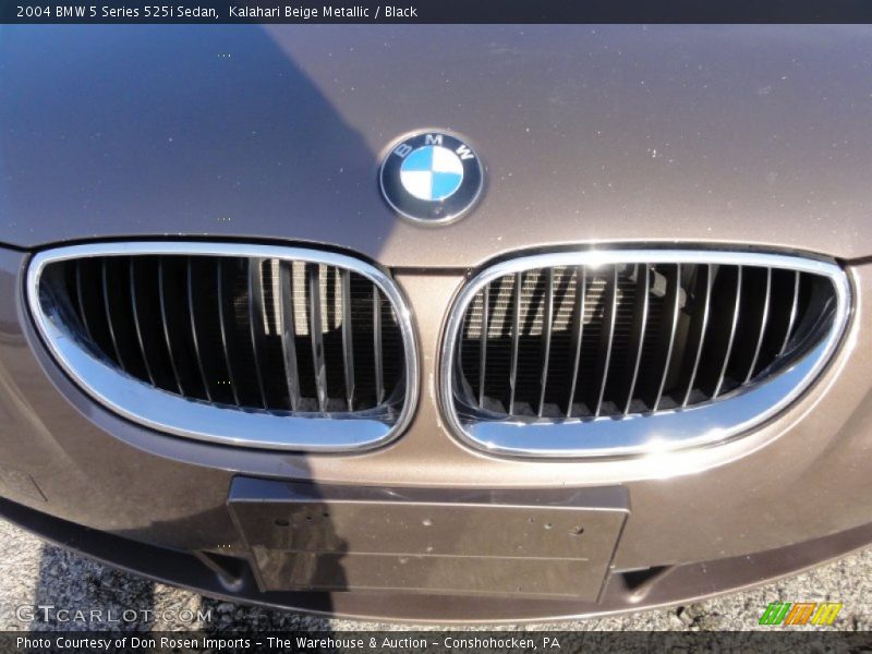 Kalahari Beige Metallic / Black 2004 BMW 5 Series 525i Sedan