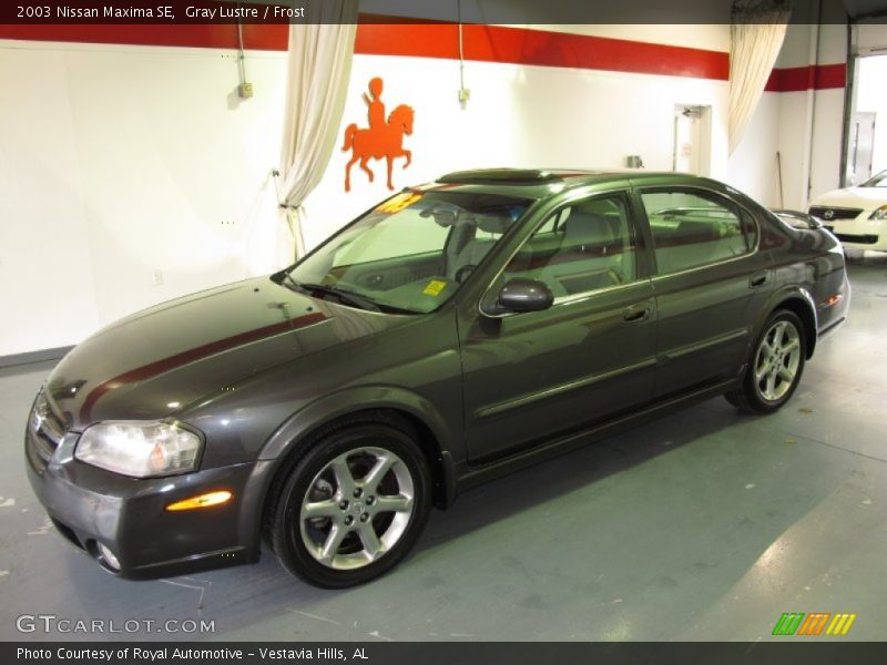Gray Lustre / Frost 2003 Nissan Maxima SE