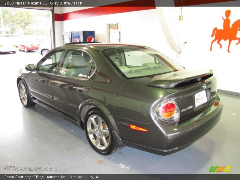 Gray Lustre / Frost 2003 Nissan Maxima SE