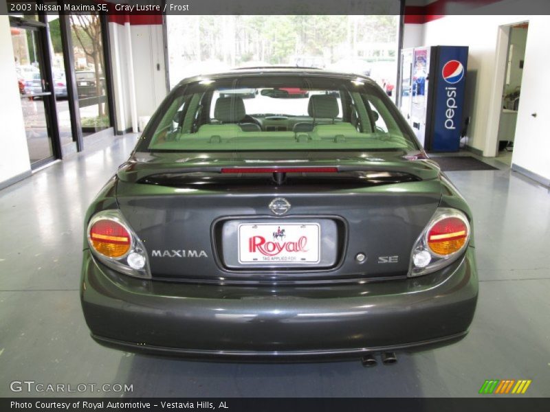 Gray Lustre / Frost 2003 Nissan Maxima SE