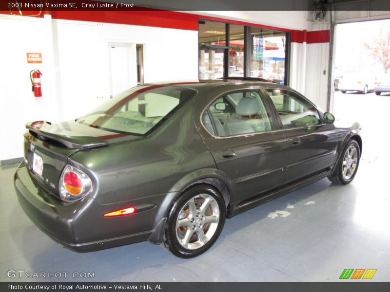 Gray Lustre / Frost 2003 Nissan Maxima SE