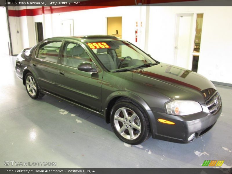 Gray Lustre / Frost 2003 Nissan Maxima SE