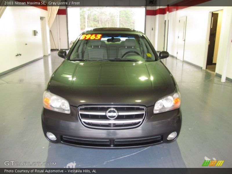 Gray Lustre / Frost 2003 Nissan Maxima SE