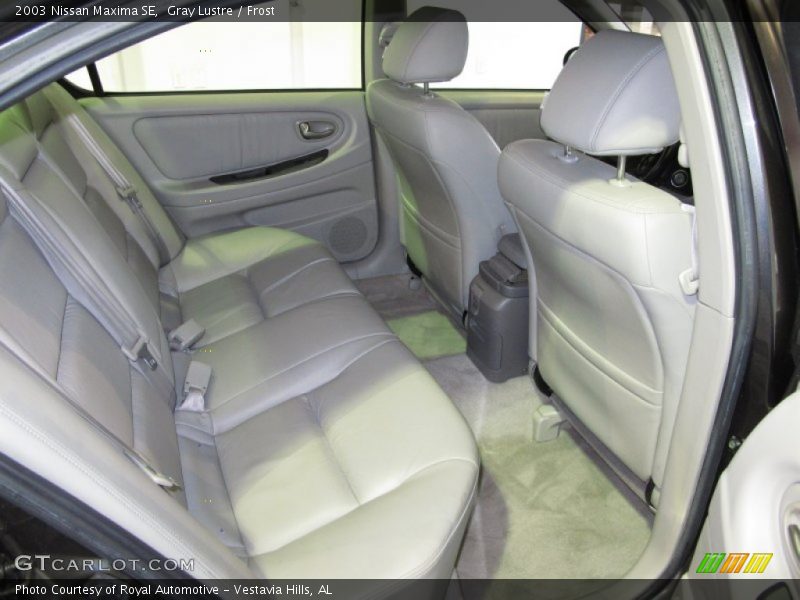 Gray Lustre / Frost 2003 Nissan Maxima SE