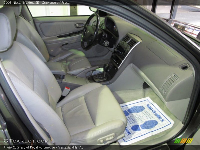 Gray Lustre / Frost 2003 Nissan Maxima SE