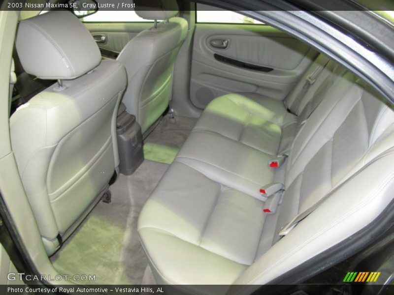 Gray Lustre / Frost 2003 Nissan Maxima SE