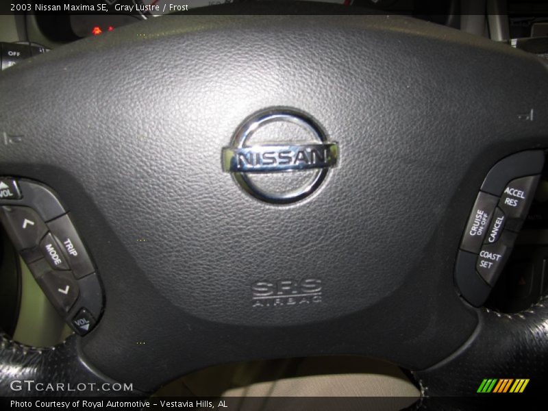 Gray Lustre / Frost 2003 Nissan Maxima SE