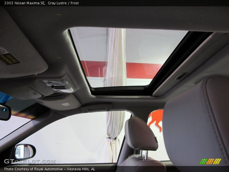 Gray Lustre / Frost 2003 Nissan Maxima SE