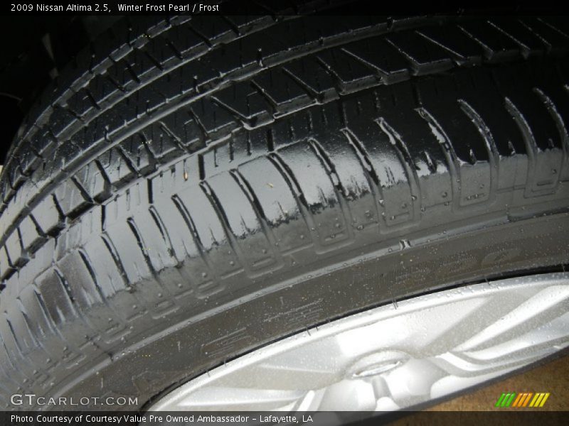 Winter Frost Pearl / Frost 2009 Nissan Altima 2.5