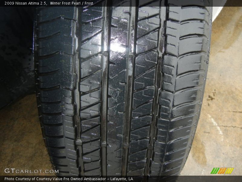 Winter Frost Pearl / Frost 2009 Nissan Altima 2.5