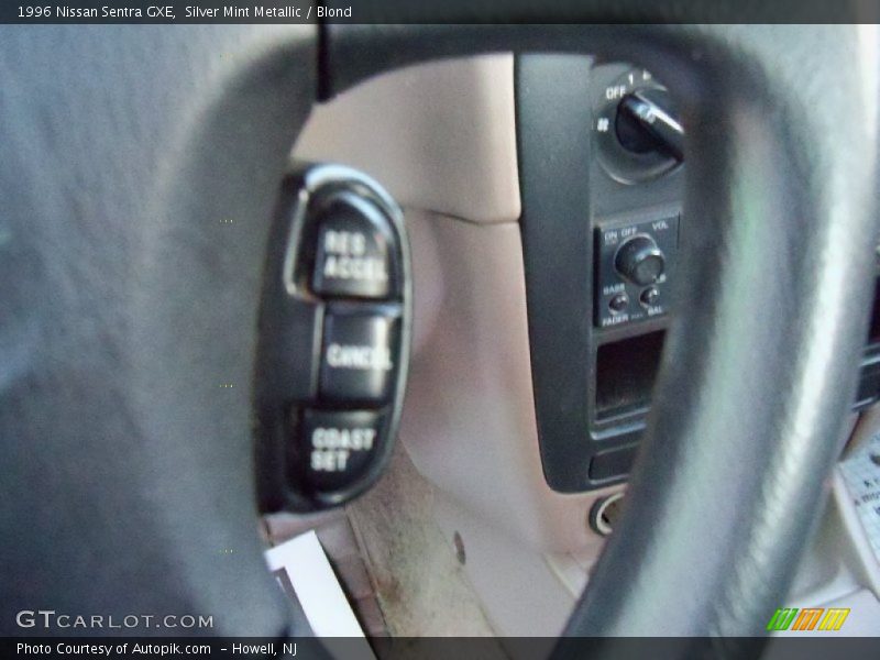 Silver Mint Metallic / Blond 1996 Nissan Sentra GXE