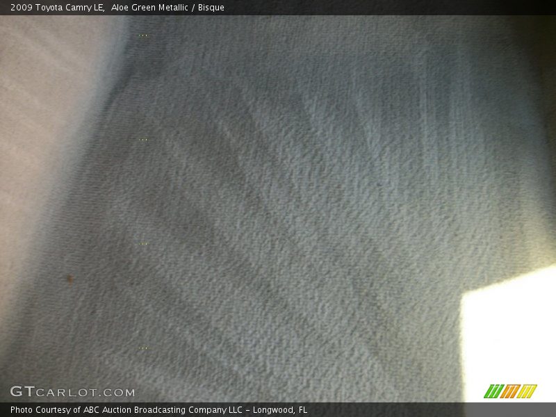 Aloe Green Metallic / Bisque 2009 Toyota Camry LE