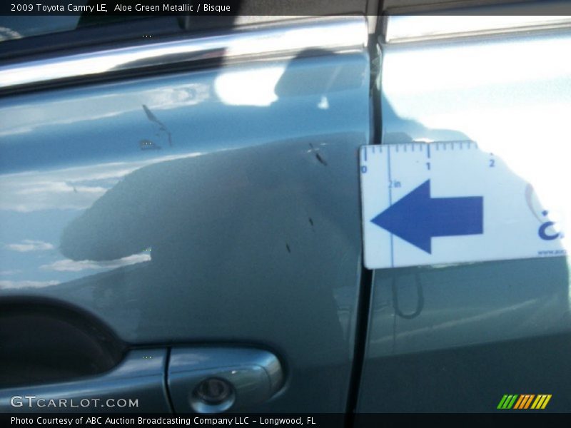Aloe Green Metallic / Bisque 2009 Toyota Camry LE