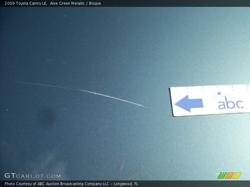 Aloe Green Metallic / Bisque 2009 Toyota Camry LE
