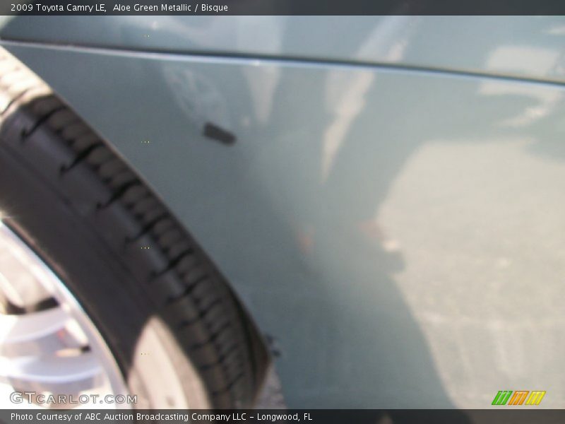 Aloe Green Metallic / Bisque 2009 Toyota Camry LE