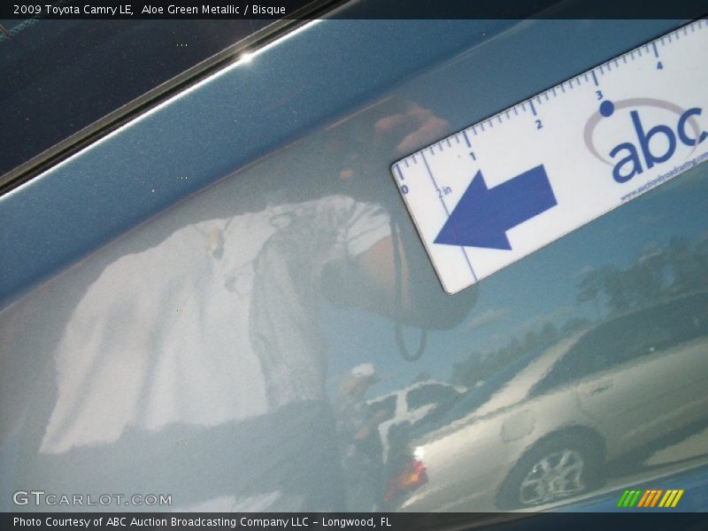 Aloe Green Metallic / Bisque 2009 Toyota Camry LE