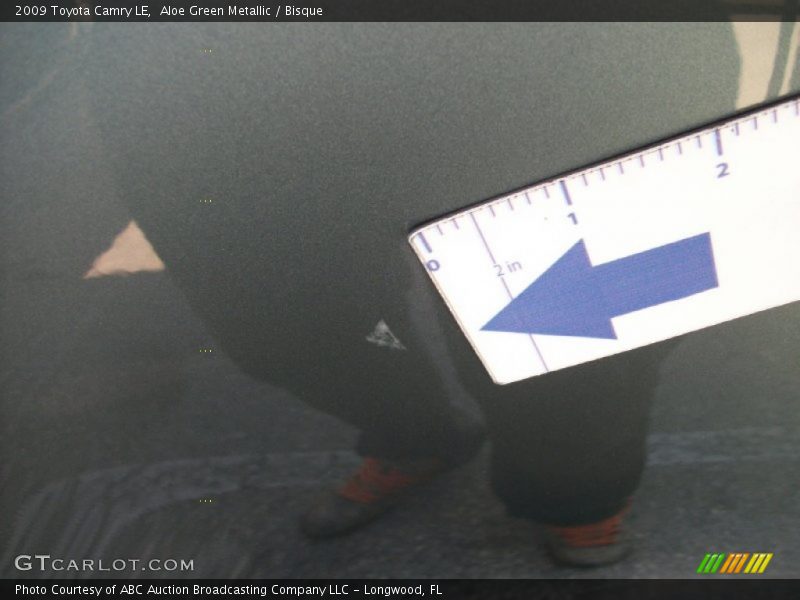 Aloe Green Metallic / Bisque 2009 Toyota Camry LE