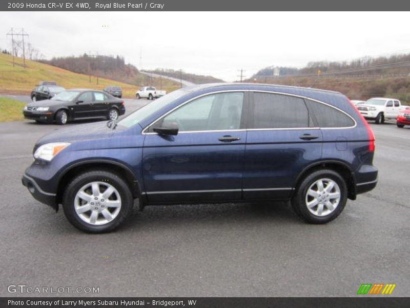 Royal Blue Pearl / Gray 2009 Honda CR-V EX 4WD