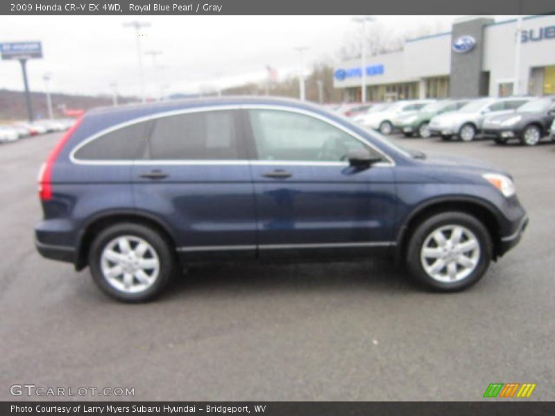 Royal Blue Pearl / Gray 2009 Honda CR-V EX 4WD